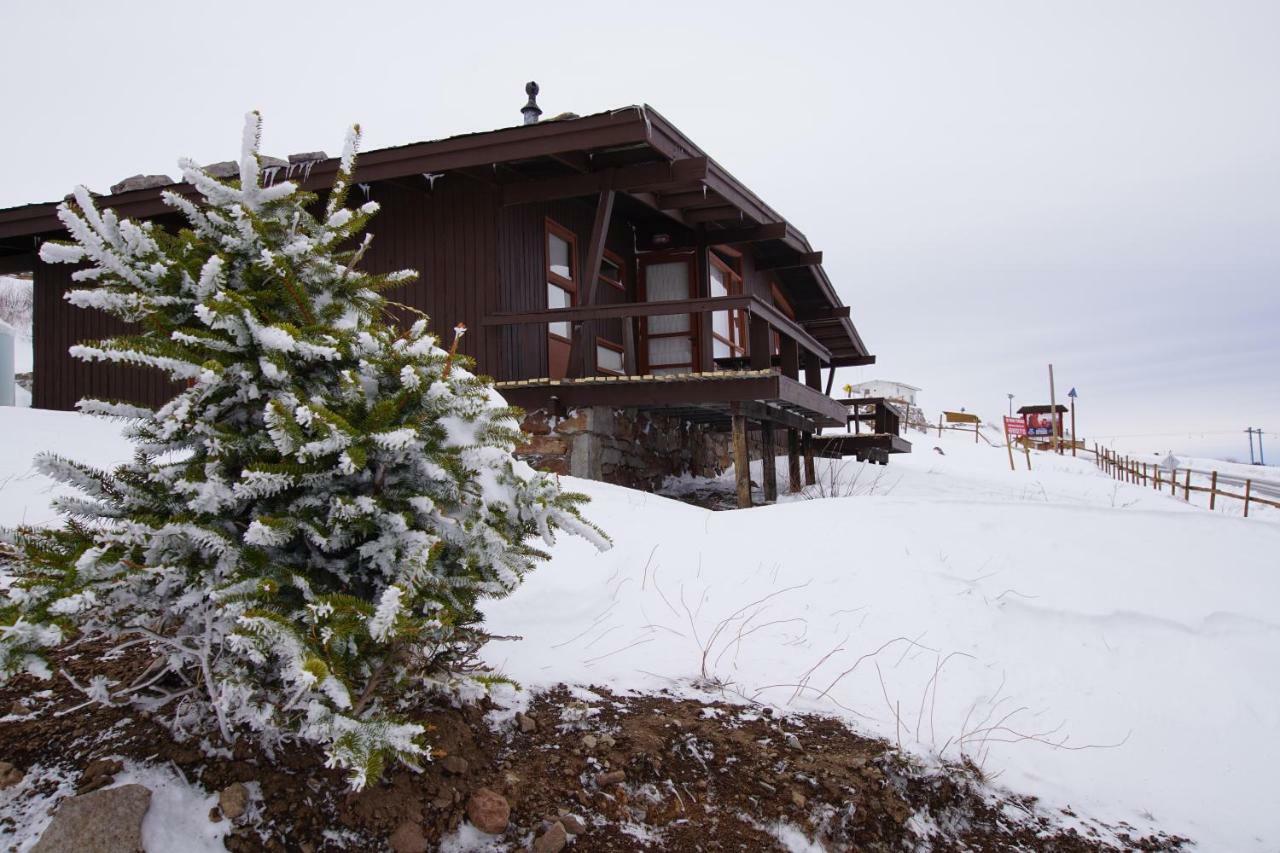 El Colorado Bungalows Экстерьер фото